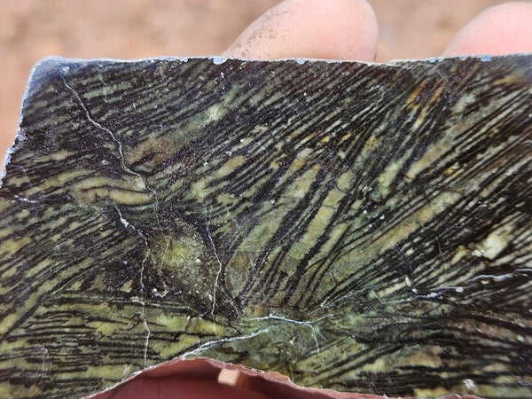 Polished Komatiite slab KOM123
