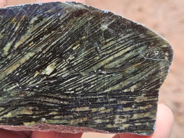 Polished Komatiite slab KOM123