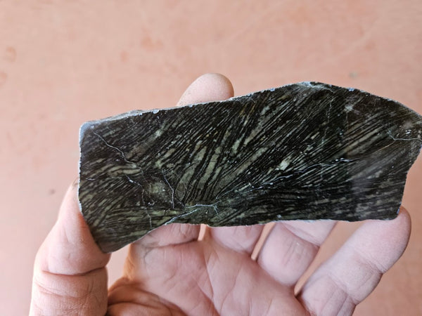 Polished Komatiite slab KOM123