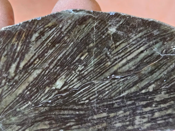 Polished Komatiite slab KOM123