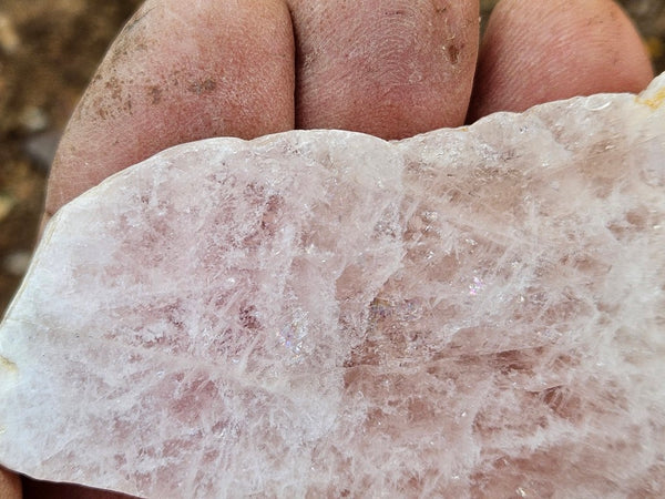 Polished Pink Beryl slab BY159
