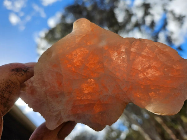 Polished Pink Beryl BY160