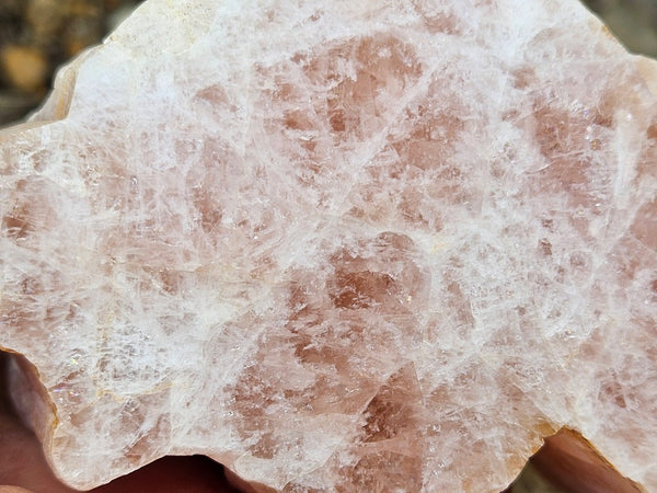 Polished Pink Beryl BY160