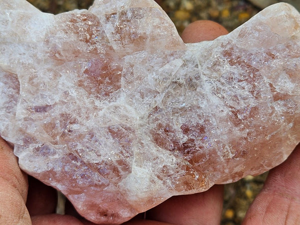 Polished Pink Beryl BY160
