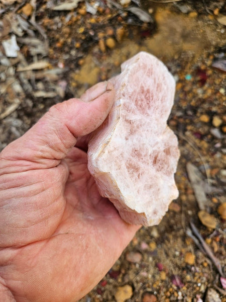 Polished Pink Beryl BY160