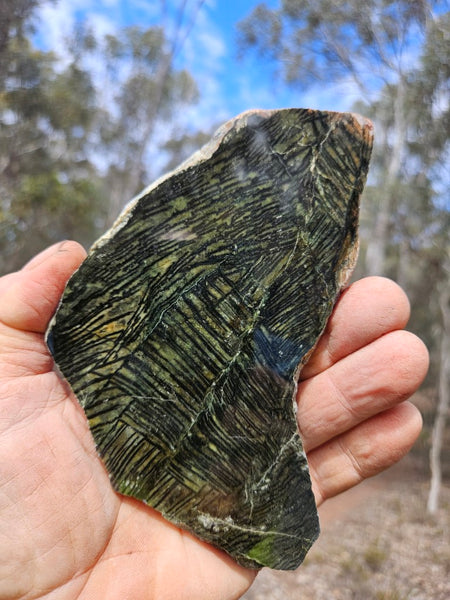 Polished Komatiite slab KOM122
