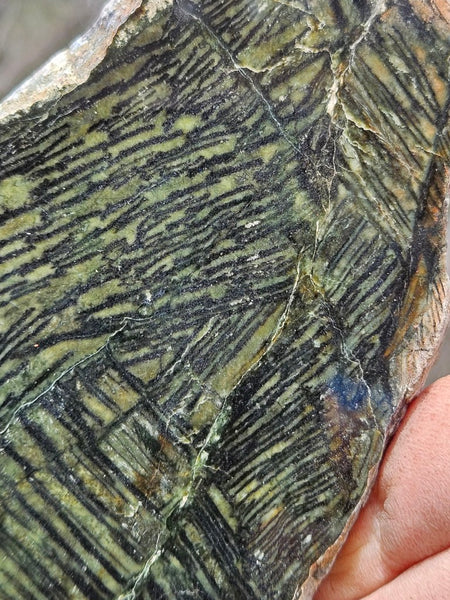 Polished Komatiite slab KOM122