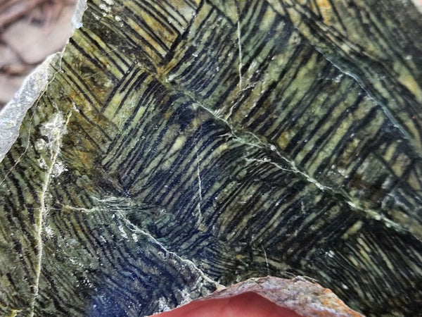 Polished Komatiite slab KOM122