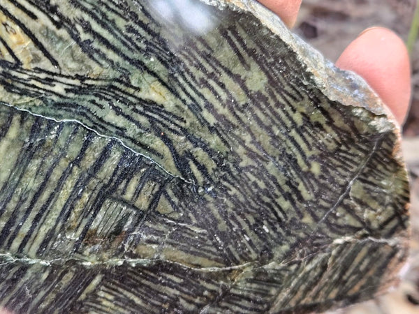 Polished Komatiite slab KOM122