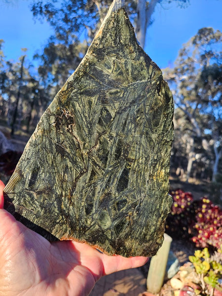Polished Komatiite slab KOM118
