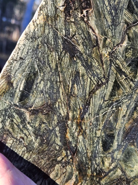 Polished Komatiite slab KOM118