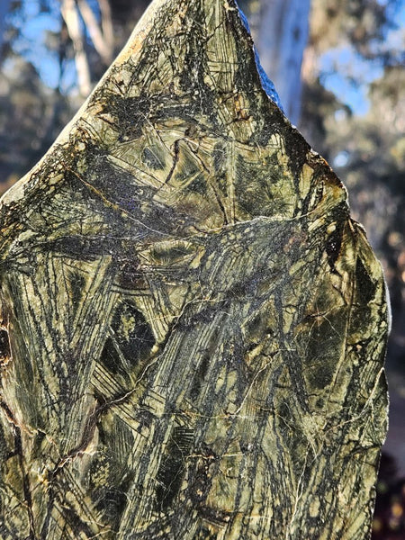 Polished Komatiite slab KOM118