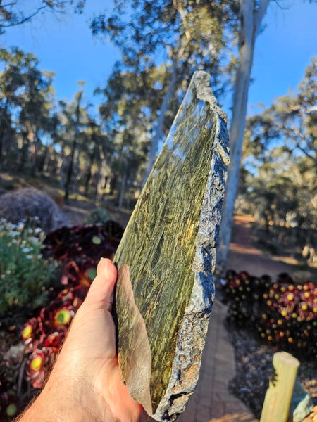 Polished Komatiite slab KOM118