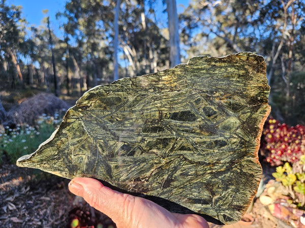 Polished Komatiite slab KOM118