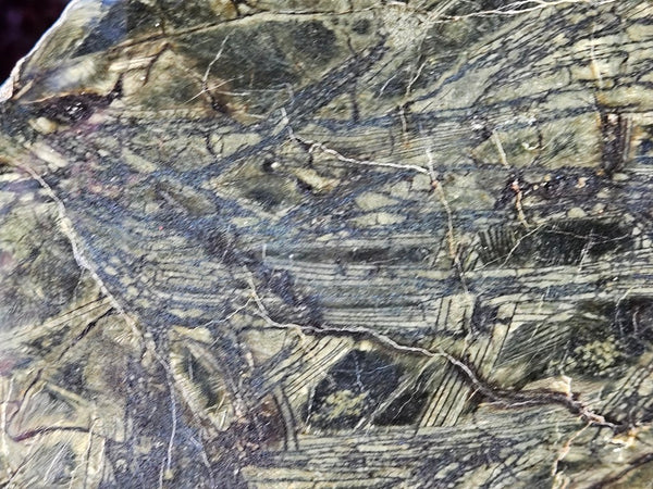 Polished Komatiite slab KOM118