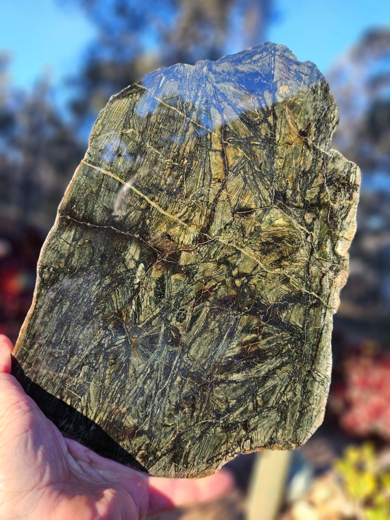 Polished Komatiite slab KOM116    John