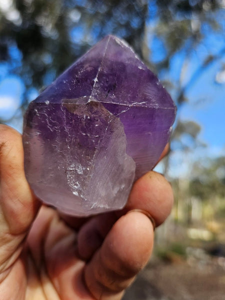 Wyloo Amethyst crystal  AM161