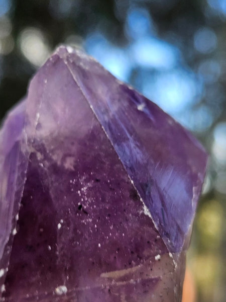 Wyloo Amethyst crystal  AM161