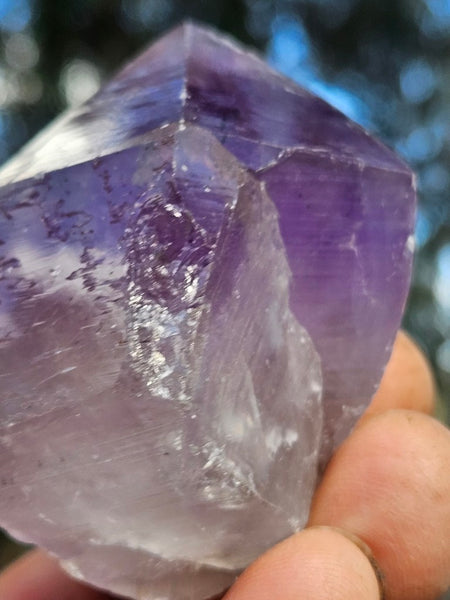 Wyloo Amethyst crystal  AM161