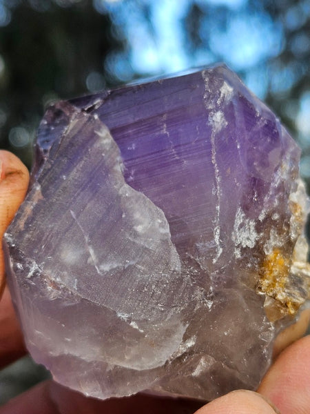 Wyloo Amethyst crystal  AM161