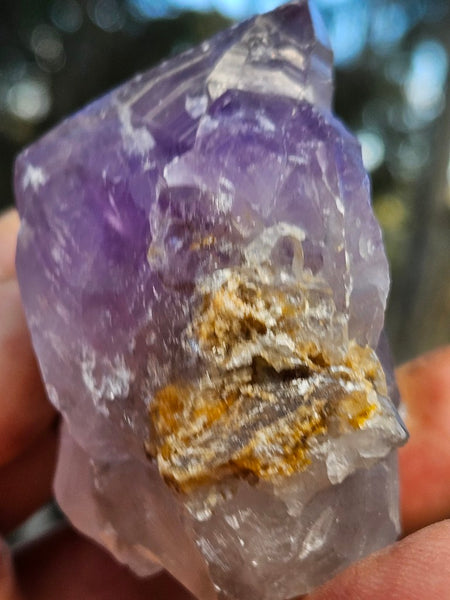Wyloo Amethyst crystal  AM161