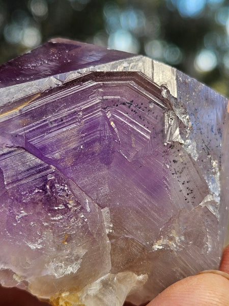 Wyloo Amethyst crystal  AM161