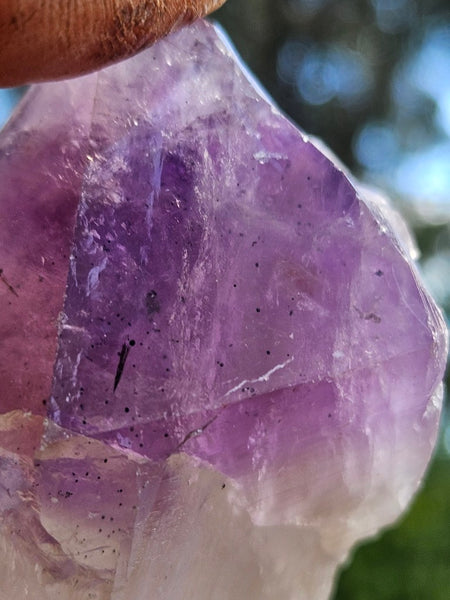 Wyloo Amethyst crystal  AM161