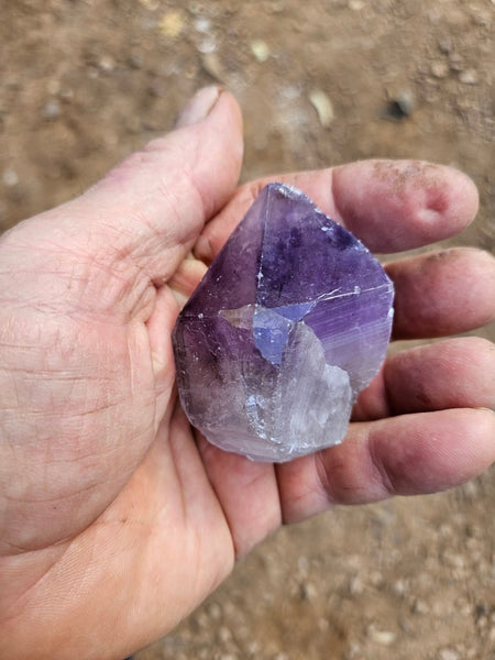 Wyloo Amethyst crystal  AM161