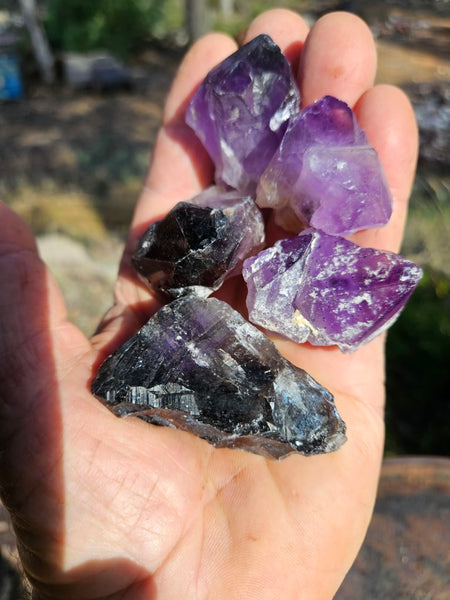 5 Wyloo Amethyst crystals  AM162
