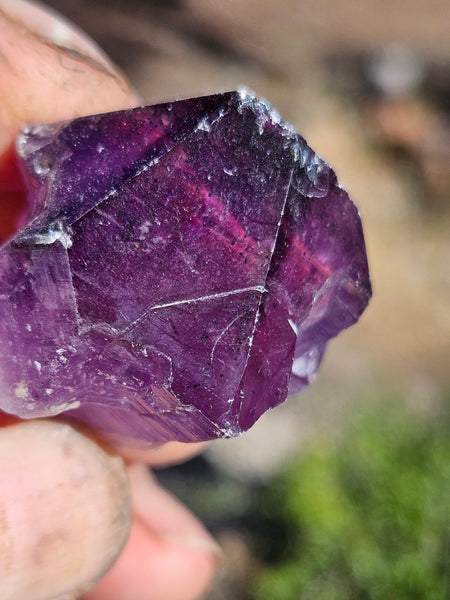 5 Wyloo Amethyst crystals  AM162
