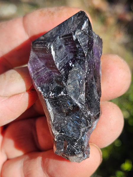 5 Wyloo Amethyst crystals  AM162