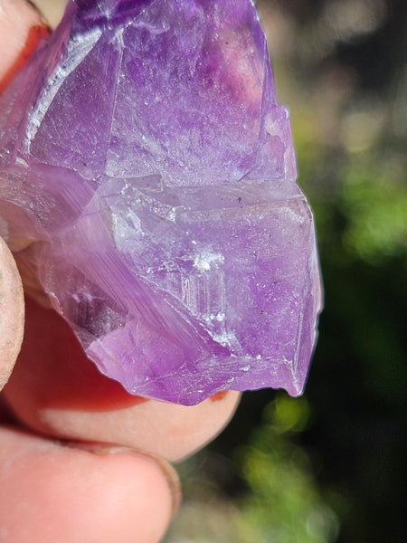 5 Wyloo Amethyst crystals  AM162