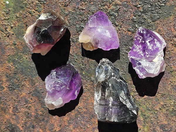 5 Wyloo Amethyst crystals  AM162