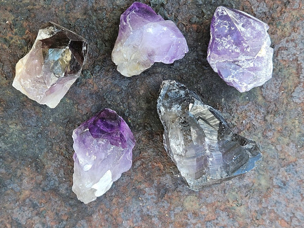 5 Wyloo Amethyst crystals  AM162