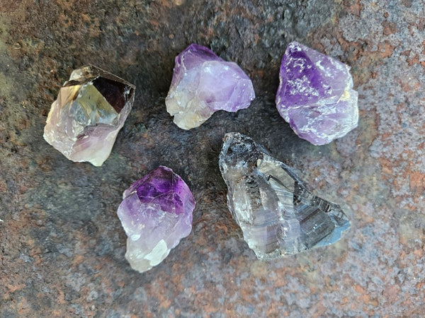 5 Wyloo Amethyst crystals  AM162
