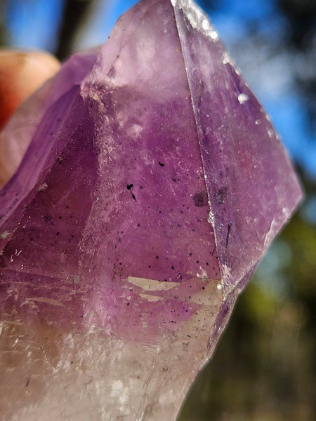 Wyloo Amethyst crystal  AM161