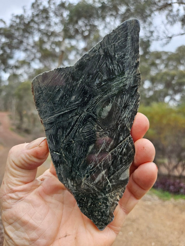 Polished Komatiite slab KOM108