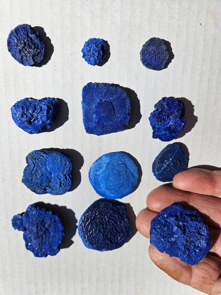 Azurite Suns  AZ201