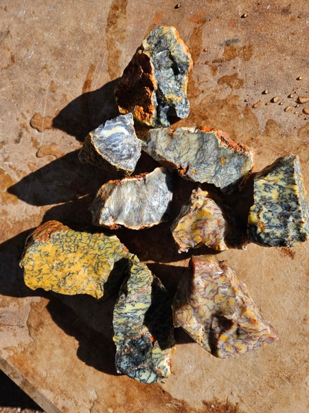 Dendritic Opal  rough.  DOR277