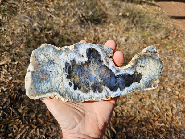 Polished Dendritic Opal slab DO243