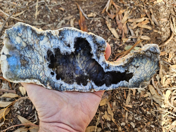 Polished Dendritic Opal slab DO243