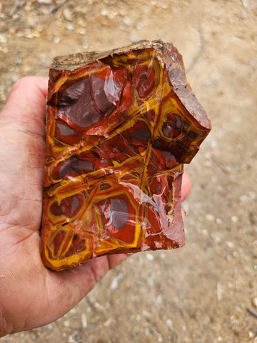 Noreena Jasper rough NJR198