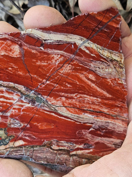 Starry Jasper polished slab SJ152