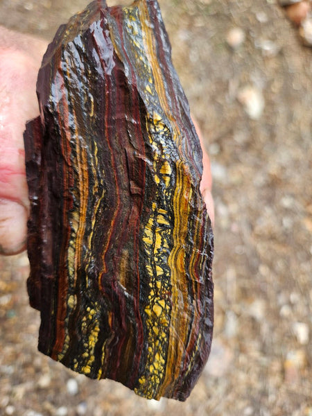 Tiger Iron rough rock TIR186