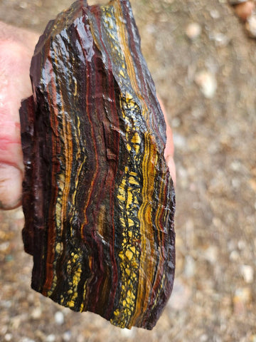 Tiger Iron rough rock TIR186