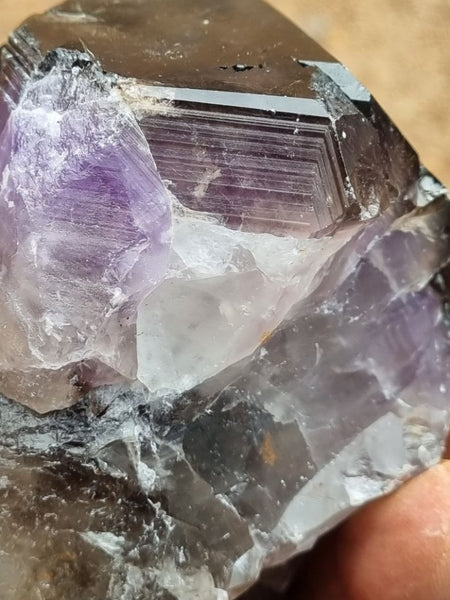 Wyloo Amethyst crystal . AM113