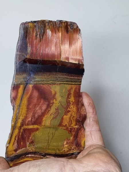 Polished Tiger Eye slab TE333