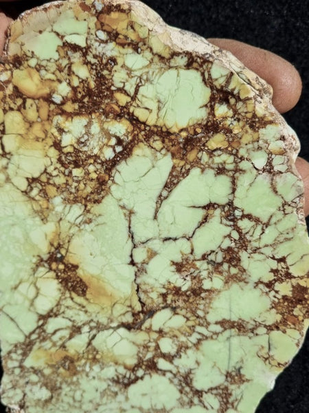 Polished Magnesite slab. MAP151