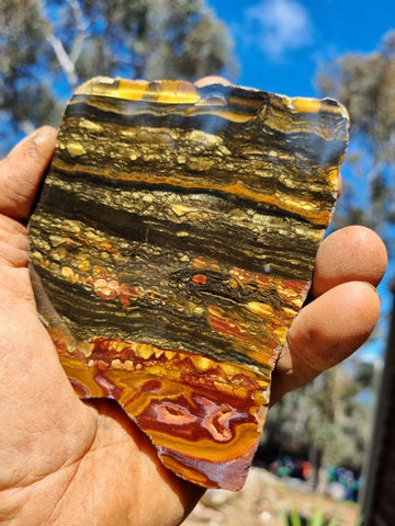 Polished Tiger Eye slab TE336