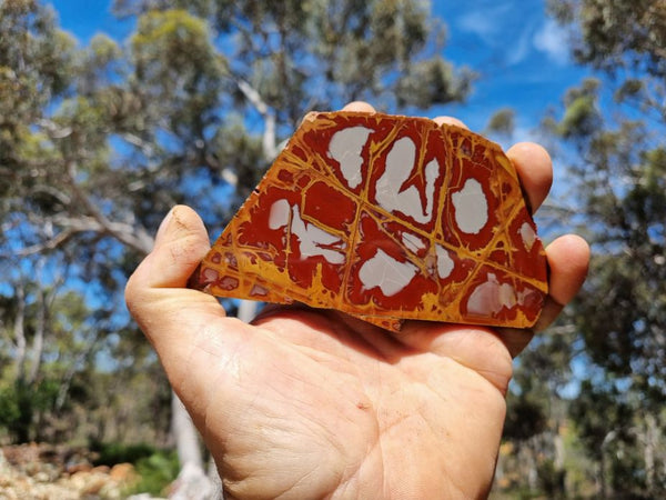 Polished Noreena Jasper slab. NJ403